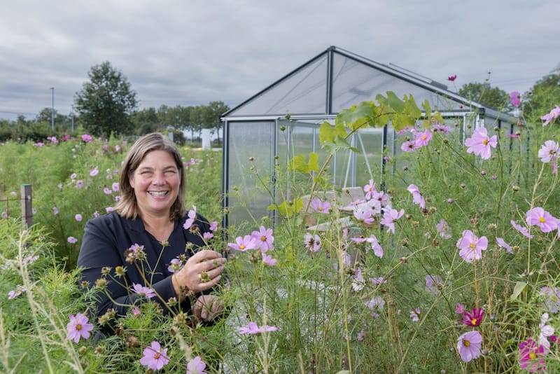 Circulaire Bedrijventerreinen – Inspiratie Biodiversiteit