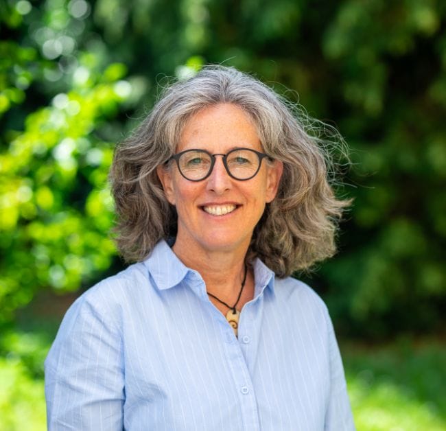 Hanneke Schmeink